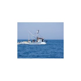 mayercharter: Planning for an Adventurous Boat Tours